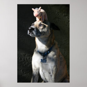 Gabriel bestellte Speck zum Frühstück Poster