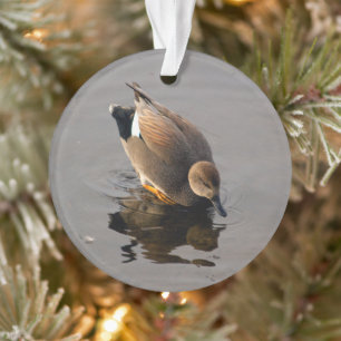 Gadwell Duck und Reflektion Weihnachten zwei Seite Ornament