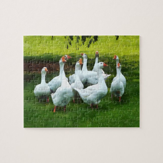 Gaggle (Horizontal)