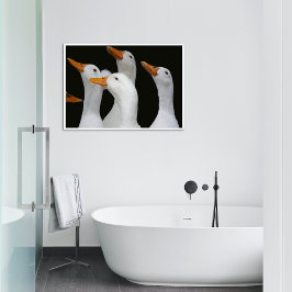 Gaggon der weißen Enten glänzend fotografisch Poster