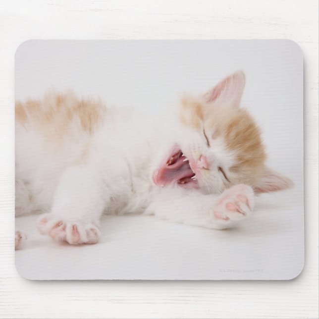 Gähnen Kätzchen auf weißem Hintergrund. Mousepad (Vorne)