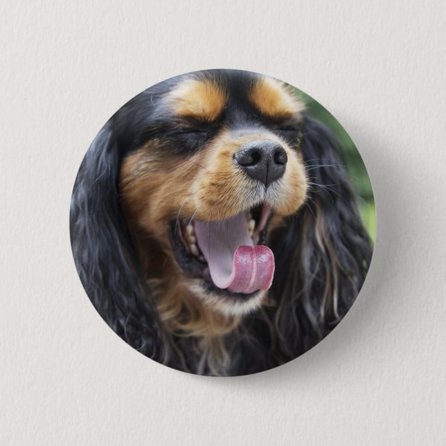 Gähnender Cavalier King Charles Spaniel Button (Vorderseite)