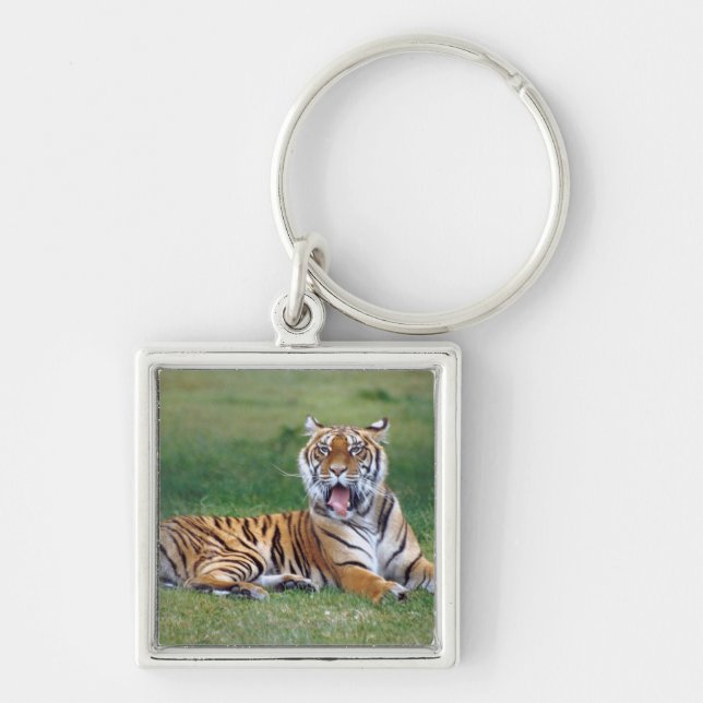Gähnender Tiger Schlüsselanhänger (Vorne)
