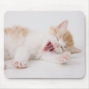 Gähnendes Kätzchen auf weißem Hintergrund Mousepad