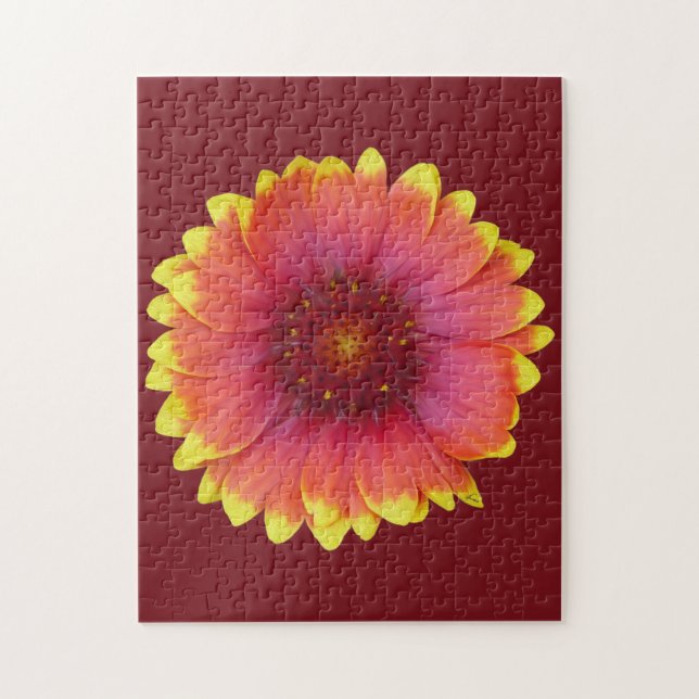 Gaillardia 1 (Vertikal)