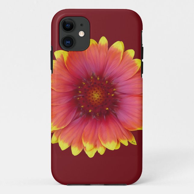 Gaillardia 1 Case-Mate iPhone hülle (Rückseite)