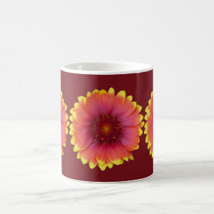 Gaillardia 1 kaffeetasse