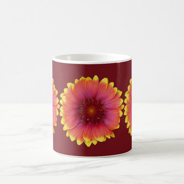 Gaillardia 1 kaffeetasse (Mittel)