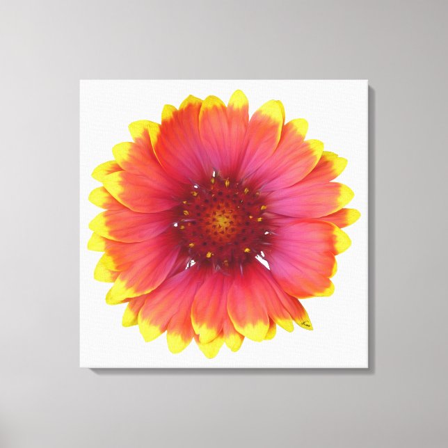 Gaillardia 1 leinwanddruck (Vorderseite)