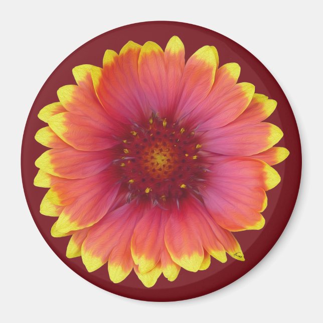 Gaillardia 1 magnet (Vorne)