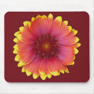 Gaillardia 1 mousepad