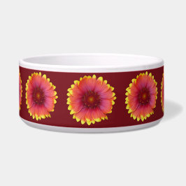 Gaillardia 1 napf