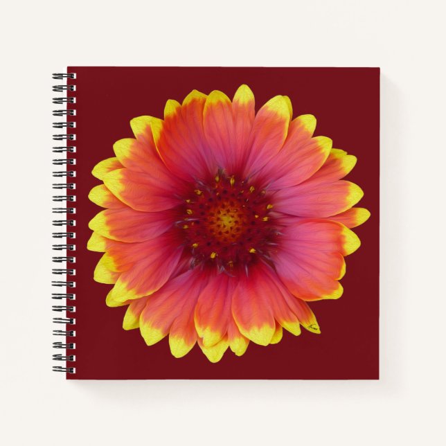 Gaillardia 1 notizbuch (Vorderseite)