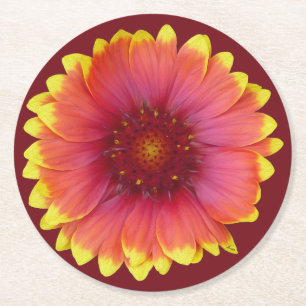 Gaillardia 1 runder pappuntersetzer