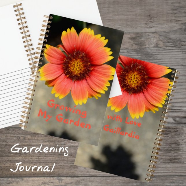 Gaillardia Sunflower of Orange and Yellow Gardener Notizbuch (Von Creator hochgeladen)