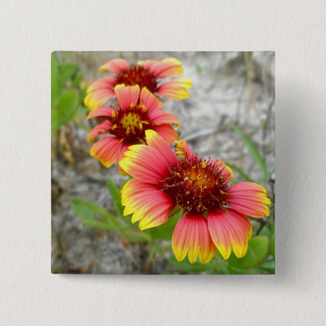 Gaillardia Wildblume (Blanket-Blume) Tote Beutel Button (Vorderseite)