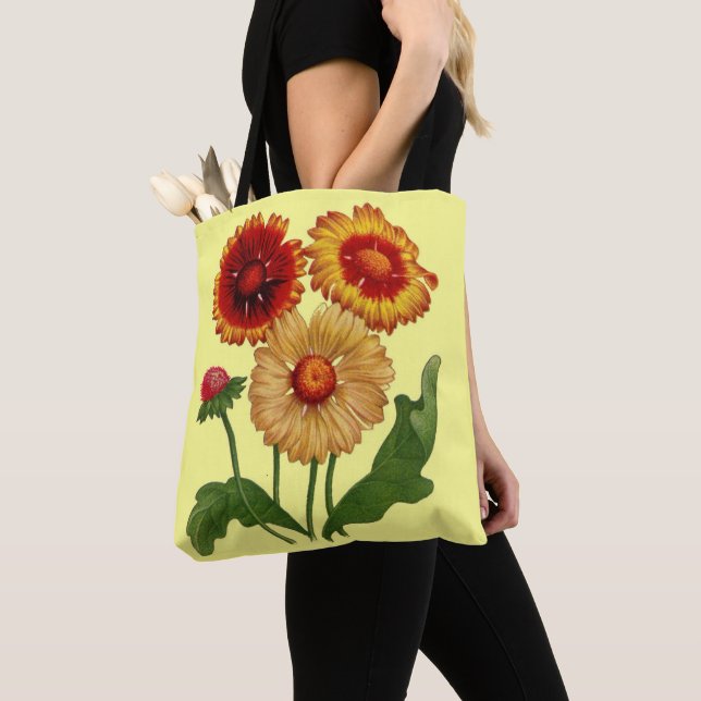 Gaillardias Blume Tasche (Von Nahem)