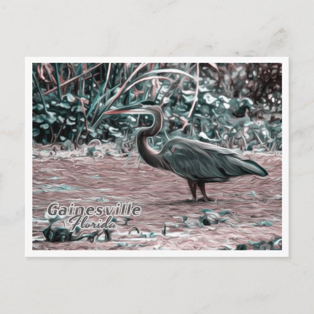 GAINESVILLE FLORIDA POSTKARTE (Vorderseite)
