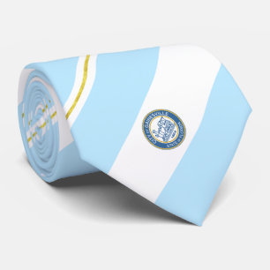 Gainesville (Florida) Stadtflagge Neck Tie Krawatte
