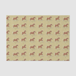 Gaits of the Horse Walk Trot Canter Gallop Sorrel Seidenpapier