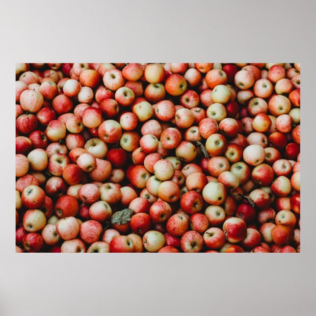 GALA APPLES POSTER (Vorne)