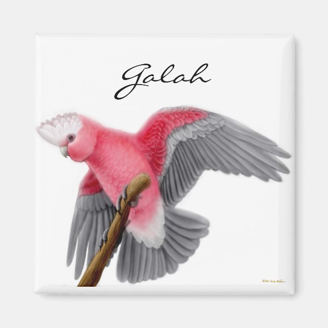 Galah Cockatoo Magnet (Vorne)