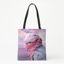 Galah Cockatoo