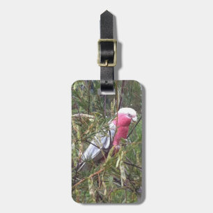 Galah Gepäckanhänger