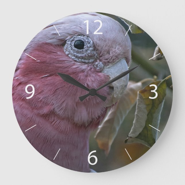 Galah Große Wanduhr (Vorderseite)