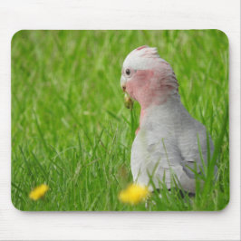 Galah Mousepad