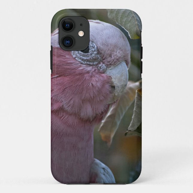 Galah oder Rose-Kakadu Case-Mate iPhone Hülle (Rückseite)