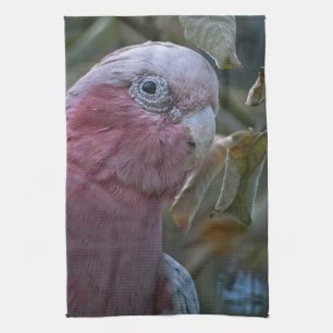 Galah oder Rose-Kakadu Geschirrtuch