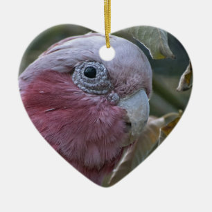 Galah oder Rose-Kakadu Keramik Ornament