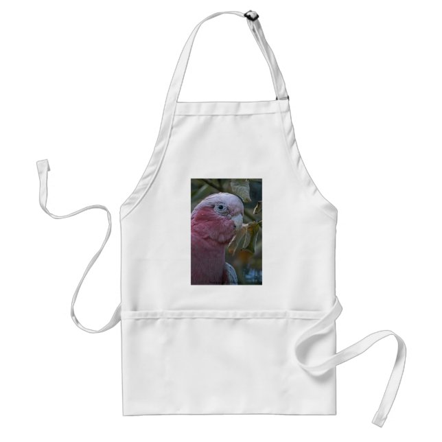 Galah oder Rose-Kakadu Schürze (Vorne)