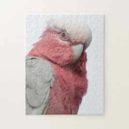 Galah Puzzle