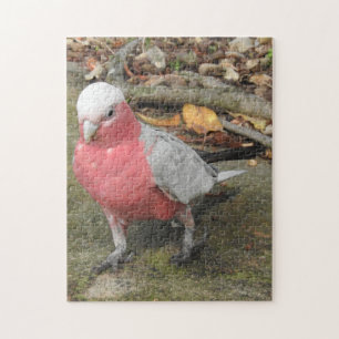 Galah Puzzlespiel