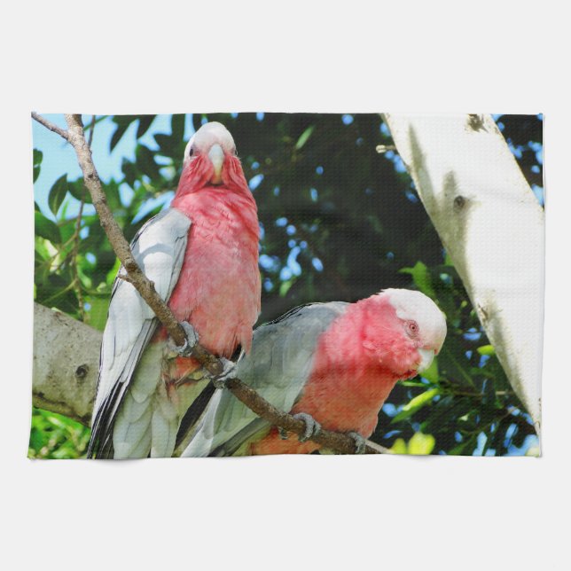 Galah (Rose Breasted Cockatoo) Küchentuch (Horizontal)