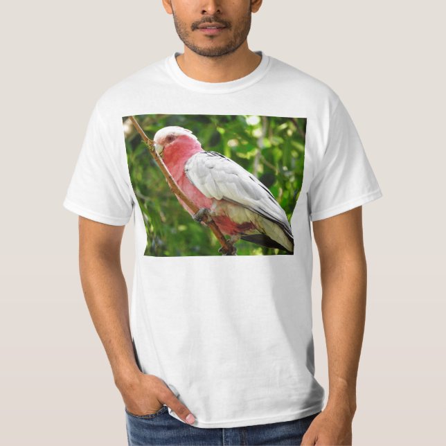 Galah (Rose Breasted Cockatoo) T-Shirt (Vorderseite)
