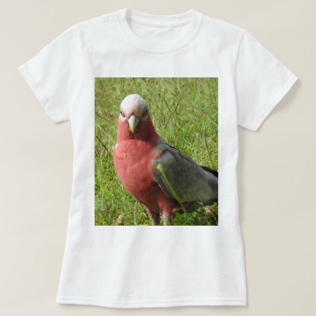 Galah T - Shirt (Design vorne)