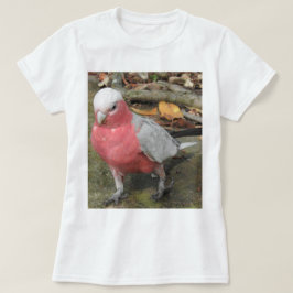 Galah T - Shirt