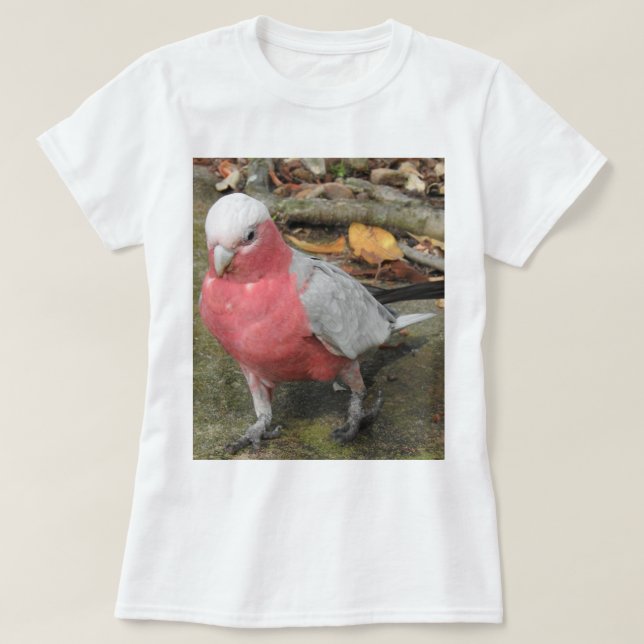 Galah T - Shirt (Design vorne)