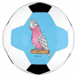 Galah Vogel Cartoon Illustration Fußball