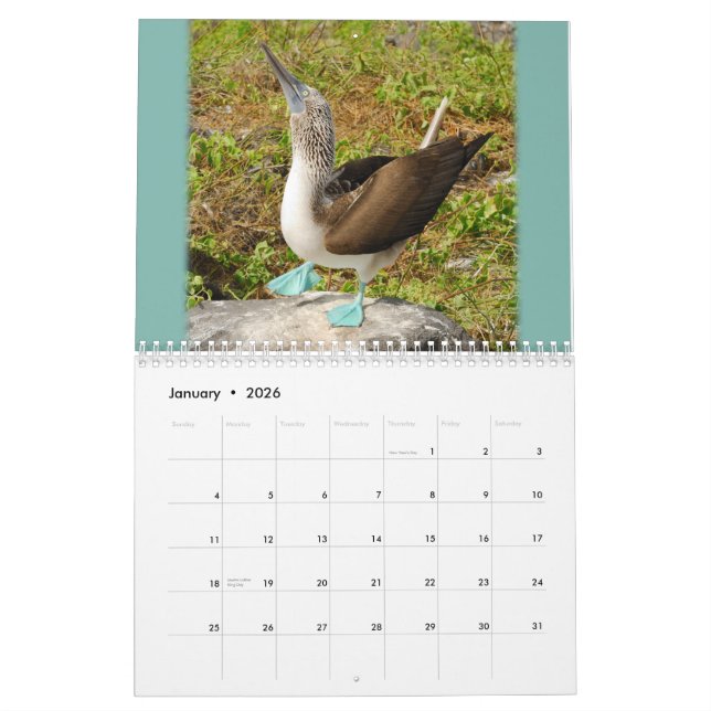 Galapagos ! Calendrier (Jan 2026)