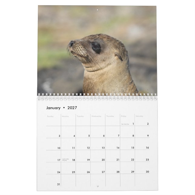 Galapagos - calendrier mural de 12 mois (Jan 2027)