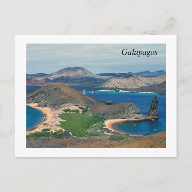 Galapagos - Ecuador Postkarte (Vorderseite)