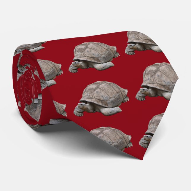 Galápagos giant tortoise krawatte (Gerollt)