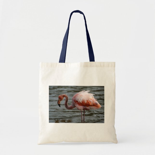 Galapagos Inseln Flamingo Tragetasche (Vorne)