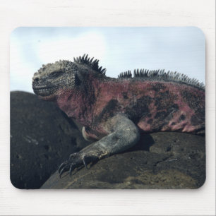 Galápagos-Inseln Mousepad