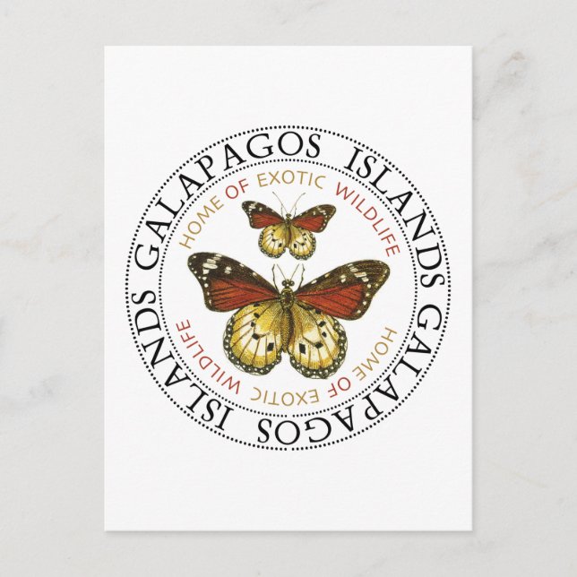 Galapagos-Inseln Schmetterlinge Postkarte (Vorderseite)