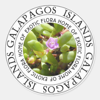 Galapagos-Inseln Sesuvianische Pflanze Runder Aufkleber